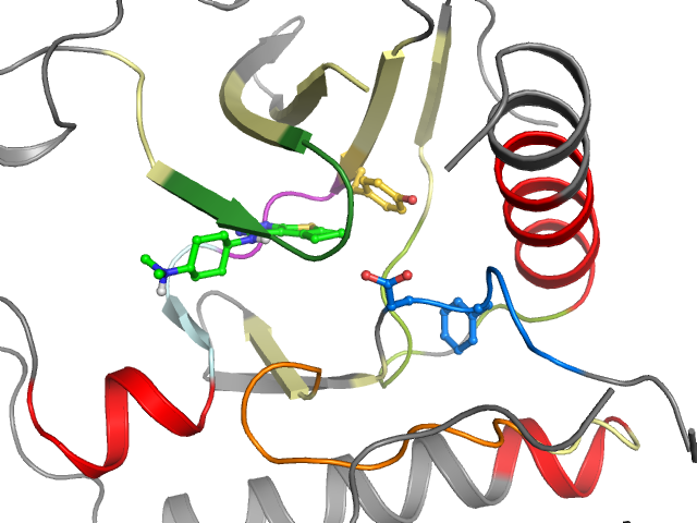 The orthosteric binding pocket