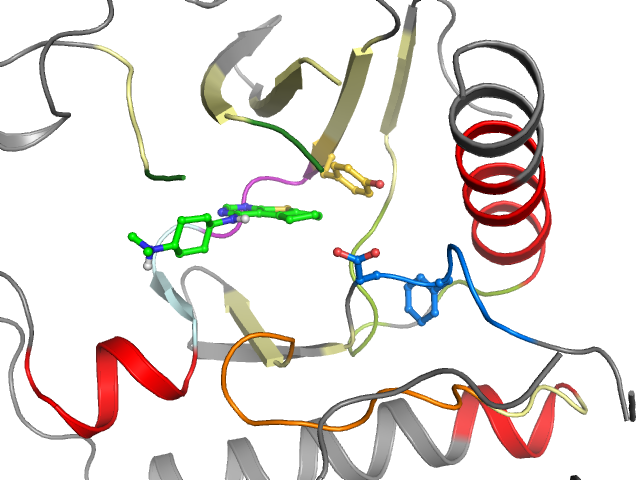 The orthosteric binding pocket