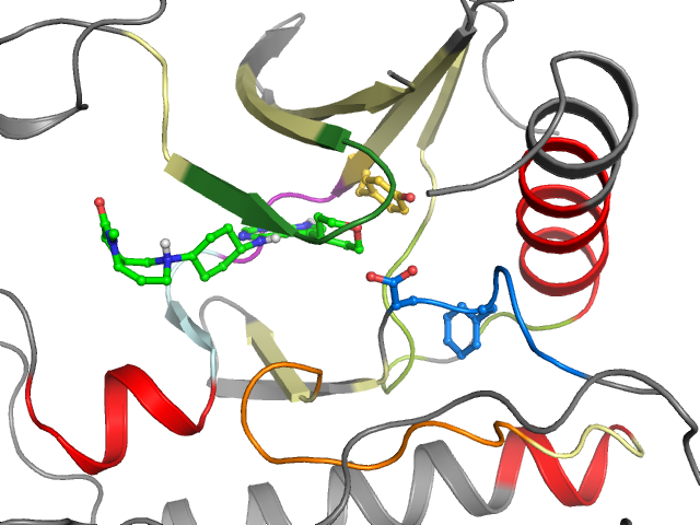 The orthosteric binding pocket