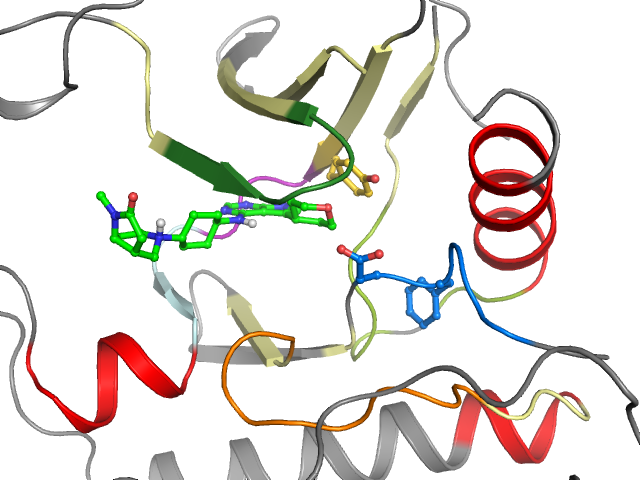 The orthosteric binding pocket