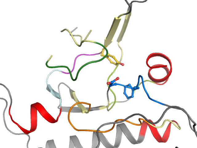 The orthosteric binding pocket