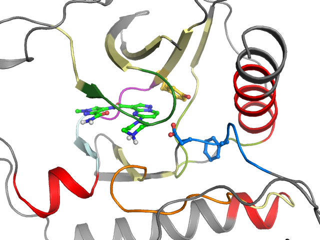 The orthosteric binding pocket