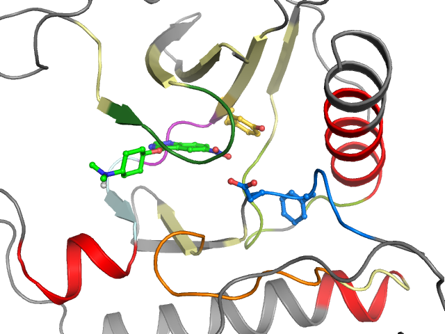 The orthosteric binding pocket