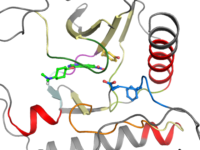 The orthosteric binding pocket