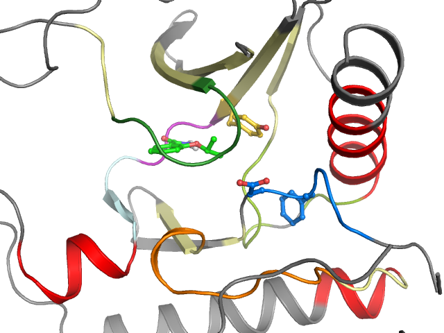 The orthosteric binding pocket