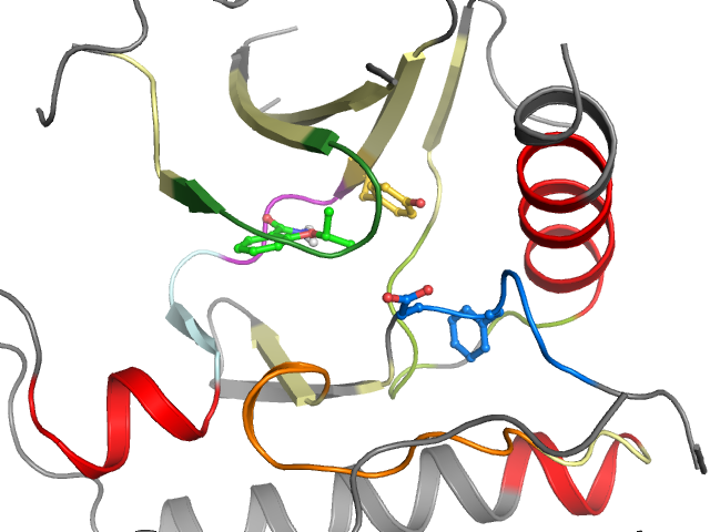 The orthosteric binding pocket