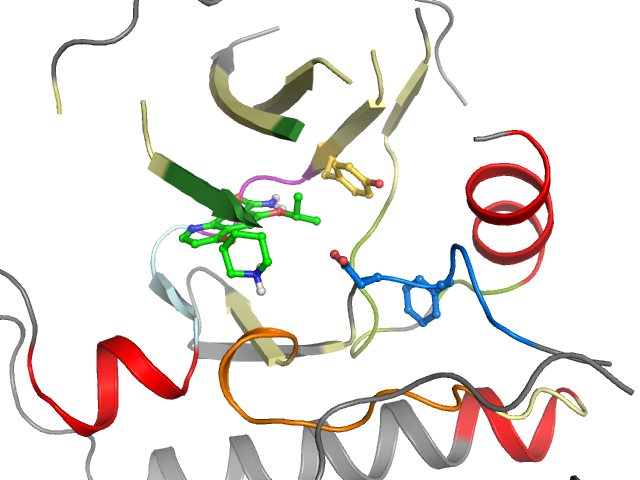 The orthosteric binding pocket
