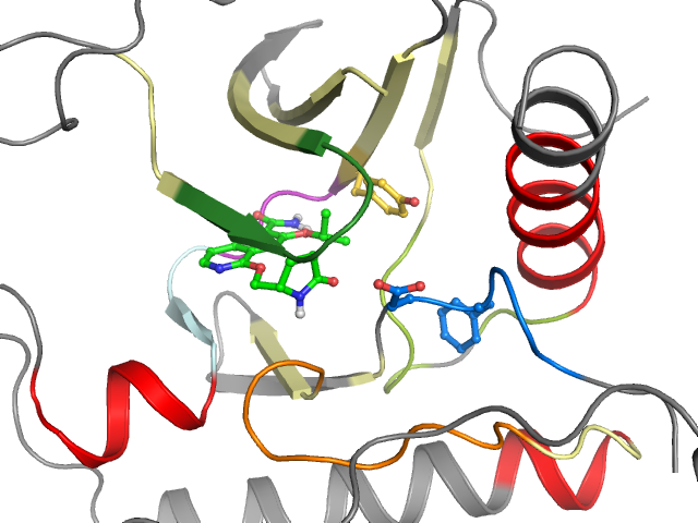 The orthosteric binding pocket