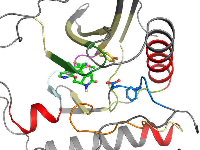 The orthosteric binding pocket
