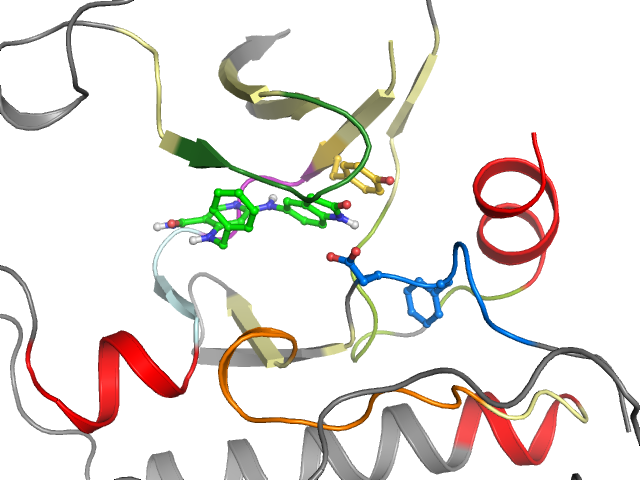 The orthosteric binding pocket