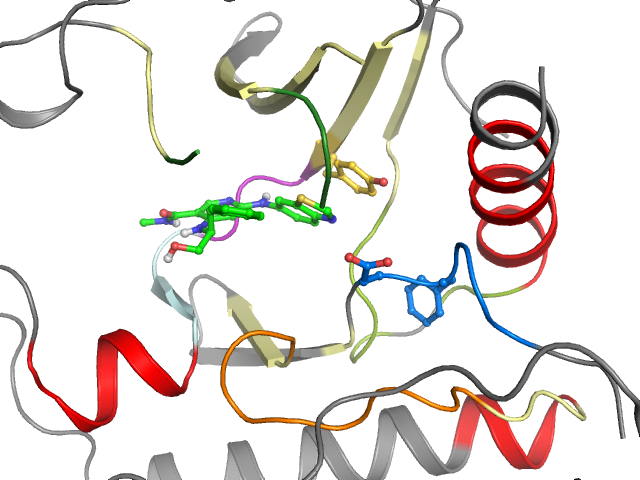 The orthosteric binding pocket