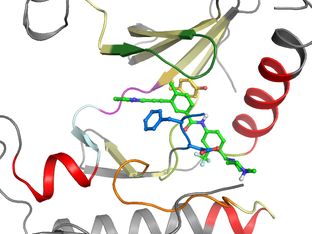 The orthosteric binding pocket