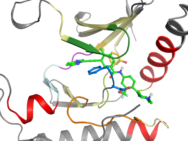 The orthosteric binding pocket