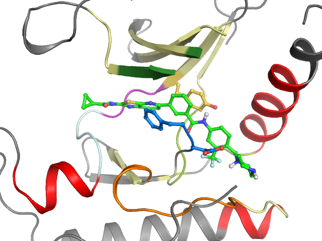 The orthosteric binding pocket