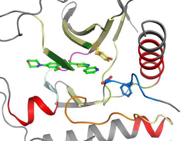 The orthosteric binding pocket