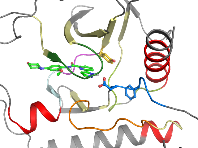 The orthosteric binding pocket