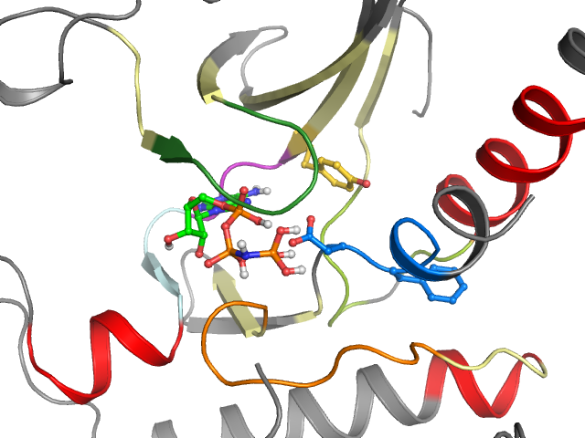 The orthosteric binding pocket