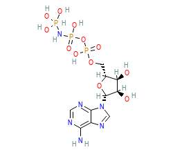 2D structure of the orthosteric ligand
