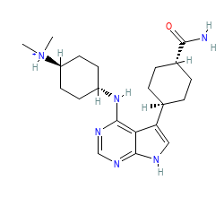 2D structure of the orthosteric ligand
