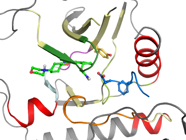 The orthosteric binding pocket
