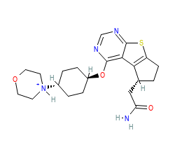 2D structure of the orthosteric ligand