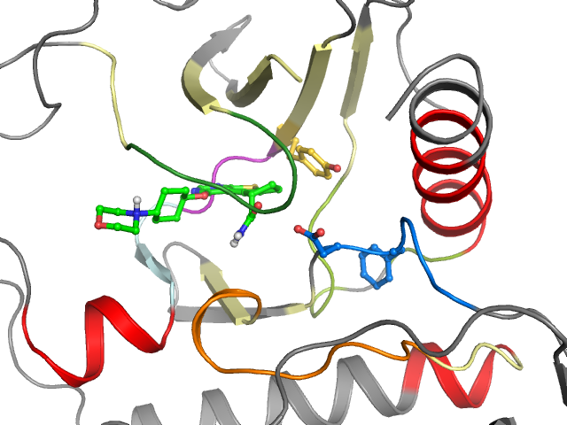 The orthosteric binding pocket