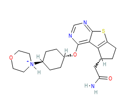 2D structure of the orthosteric ligand