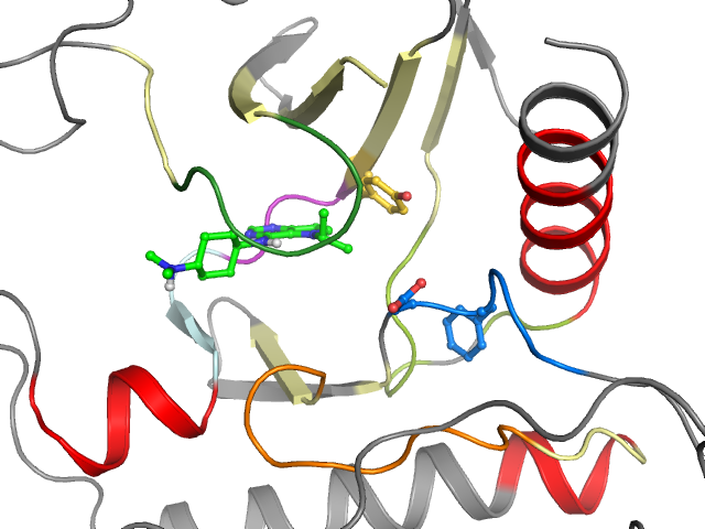 The orthosteric binding pocket