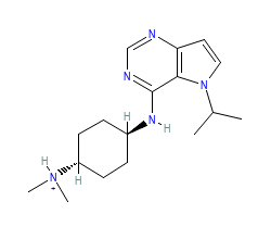 2D structure of the orthosteric ligand