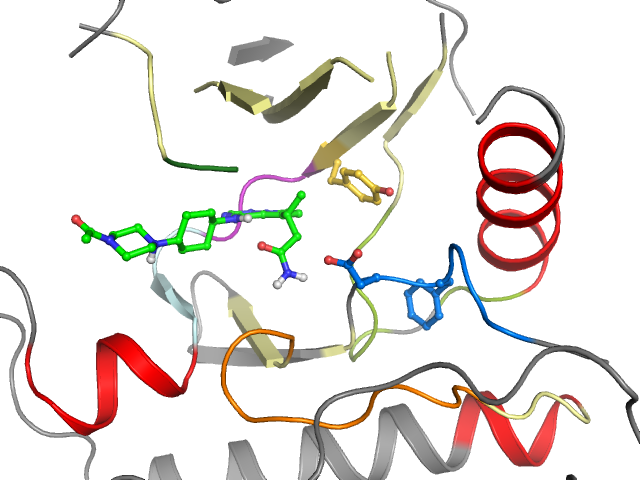 The orthosteric binding pocket