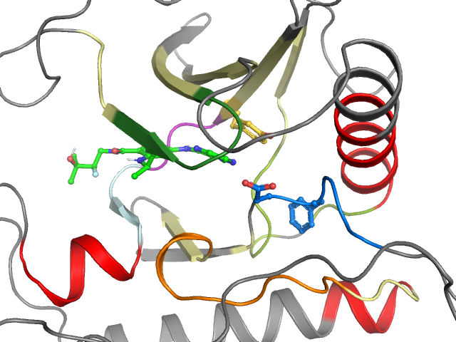 The orthosteric binding pocket