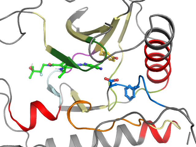 The orthosteric binding pocket