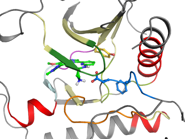 The orthosteric binding pocket