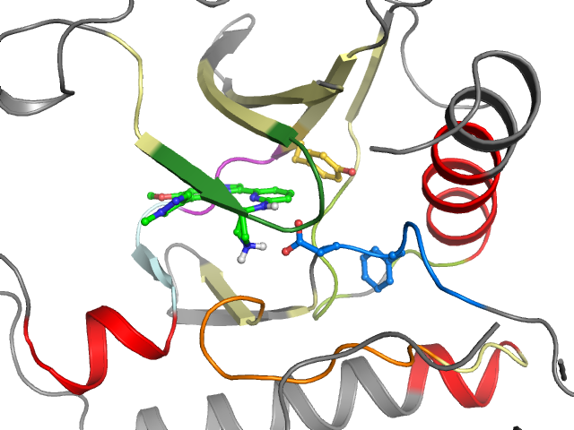 The orthosteric binding pocket