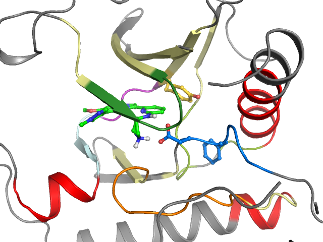 The orthosteric binding pocket