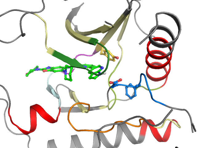 The orthosteric binding pocket