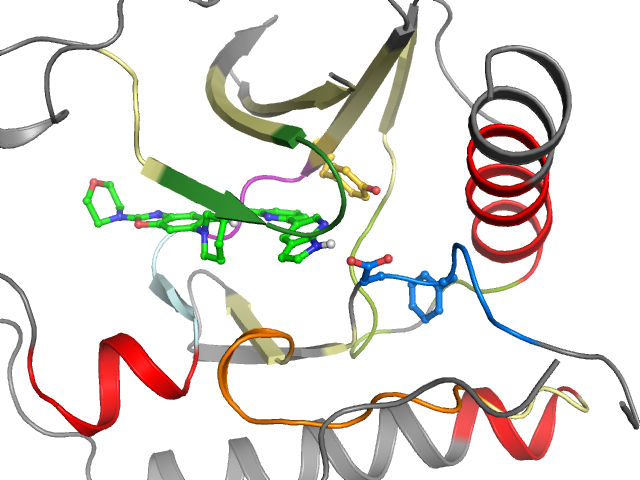 The orthosteric binding pocket