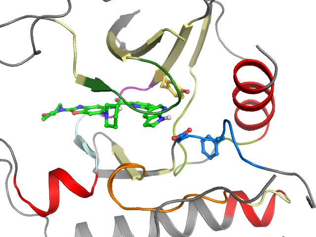The orthosteric binding pocket