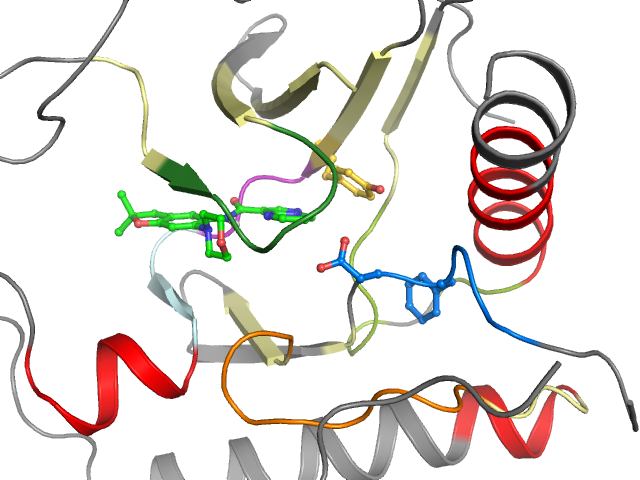 The orthosteric binding pocket