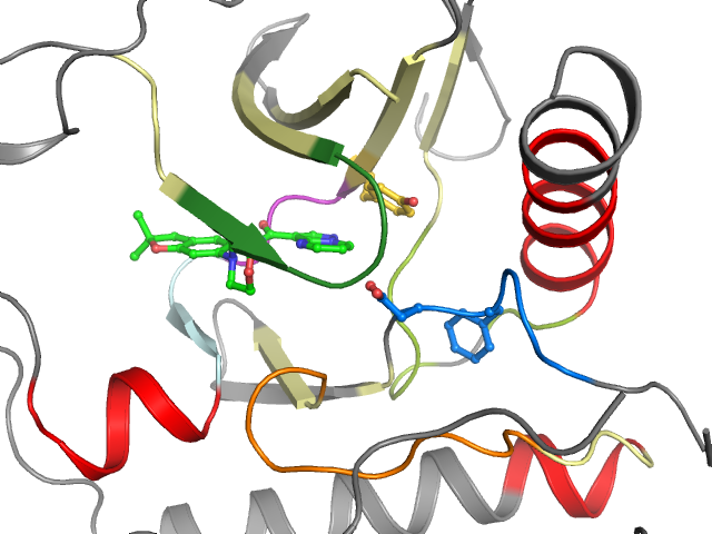 The orthosteric binding pocket
