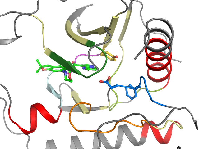 The orthosteric binding pocket