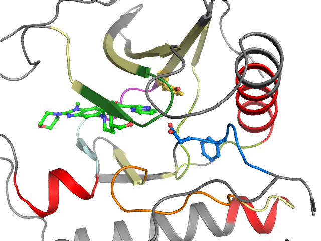 The orthosteric binding pocket