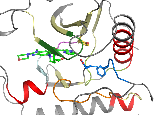 The orthosteric binding pocket