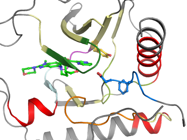 The orthosteric binding pocket