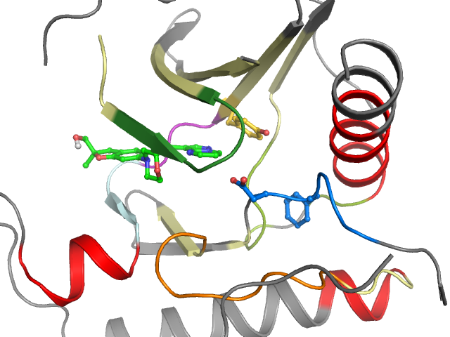 The orthosteric binding pocket