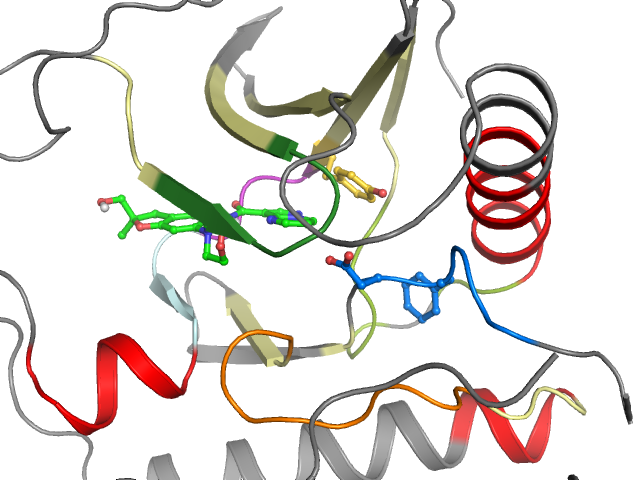 The orthosteric binding pocket