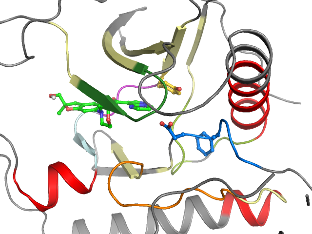 The orthosteric binding pocket