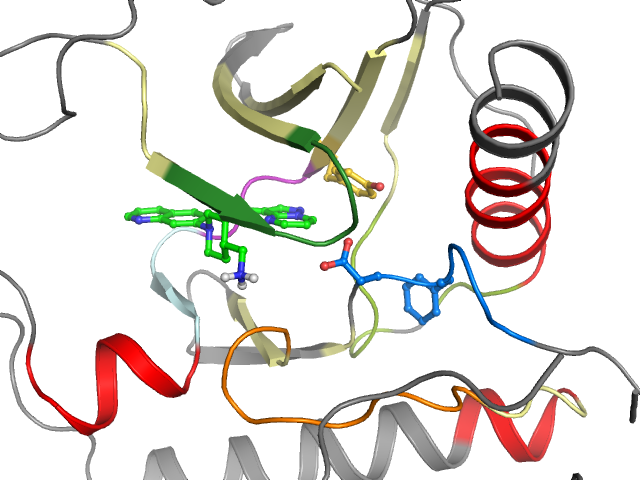 The orthosteric binding pocket