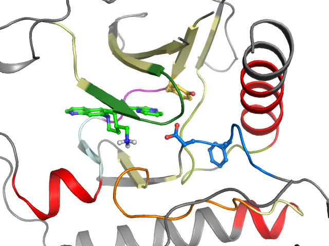 The orthosteric binding pocket