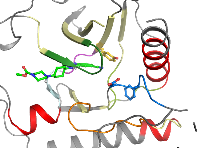 The orthosteric binding pocket